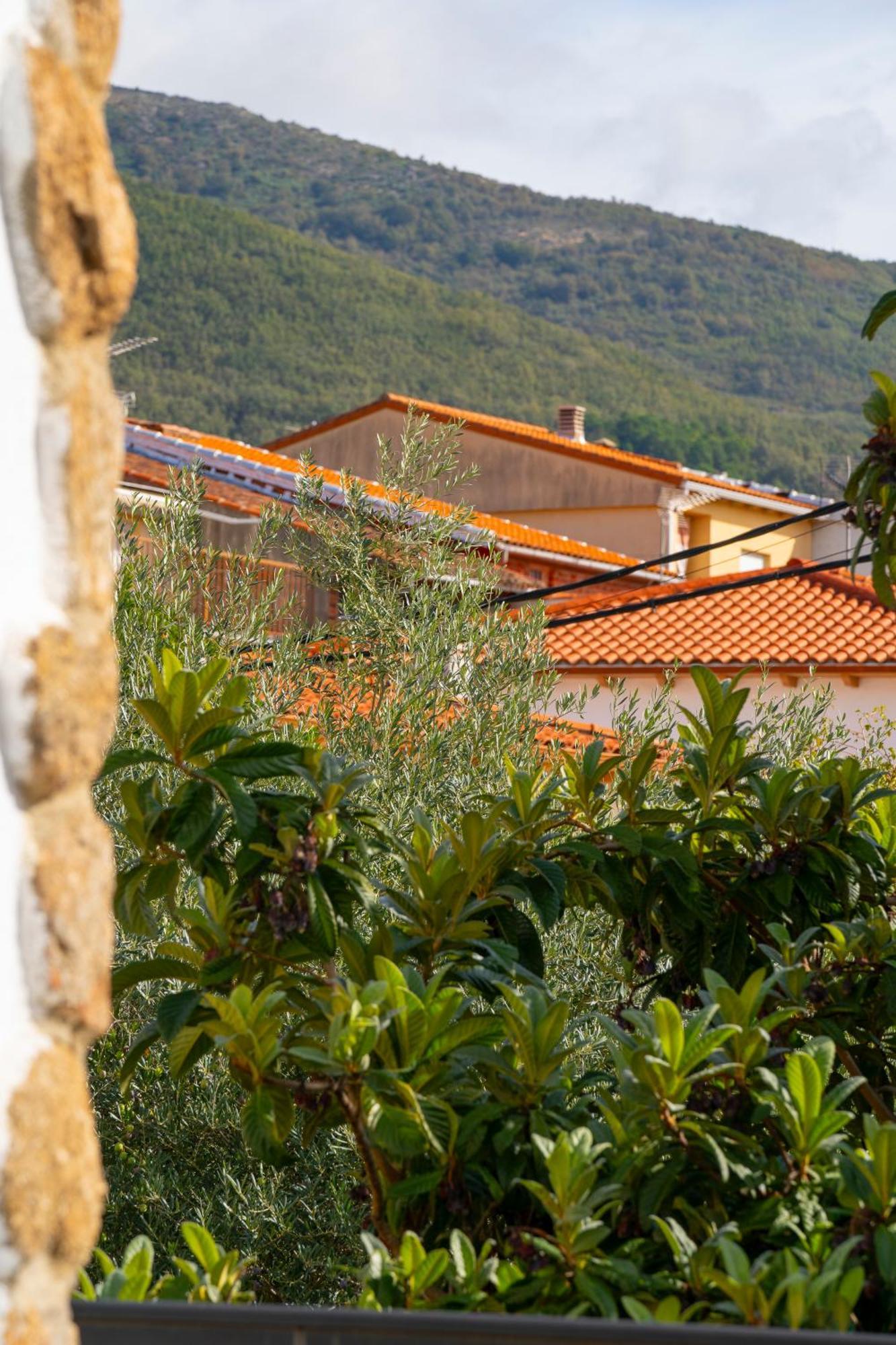 At San Miguel O Apartamento Jarandilla de la Vera Exterior foto